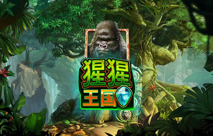 永乐国际app最新版